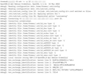 Abbildung 2: Per SSH-Client stellen Sie eine Verbindung mit Endlessh her.