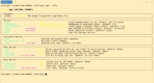 Abbildung 2: Die wichtigsten Parameter von ShellGPT rufen Sie am Prompt mit der Option <code>--help</code> auf.