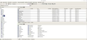 Abbildung 9: Die Anzeige von XFE passen Sie fast beliebig an Ihre Vorstellungen an.
