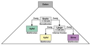 Abbildung 1: Das Modell eines Entscheidungsbaums, der Apfel und Birnen anhand ihrer L&auml;nge und Breite klassifiziert.
