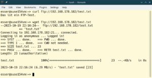 Abbildung 6: Haben Sie einen anonymen Zugang eingerichtet, k&ouml;nnen Sie mit Wget und Curl Daten vom FTP-Server herunterladen.