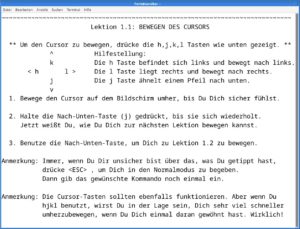 Abbildung 1: Vimtutor dient unter anderem als Lernhilfe für die Navigation innerhalb des Editors.