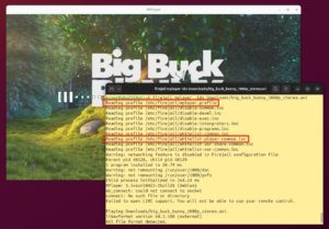 Abbildung 3: Starten Sie Mplayer im Jail, nutzt Firejail die zugehörige Regeldatei, die dann auf eine Profilversion für alle Mediaplayer verweist.