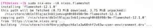 Abbildung 4: Die Paketinstallation per <code>nix-env</code> installiert Pakete so, wie Sie das von anderen Distributionen kennen. Der Unterschied: Alle Bestandteile landen in einem Verzeichnis.