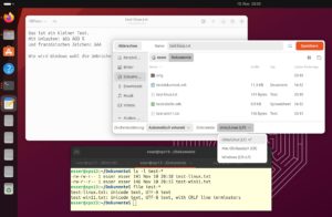 Abbildung 6: Der Gnome-Texteditor (oben) erlaubt, die Zeichenkodierung sowie die Zeilenumbruchkonvention zu ändern. Kodierung und Umbruchformat einer Datei zeigt Ihnen auch das Shell-Tool File an (unten).