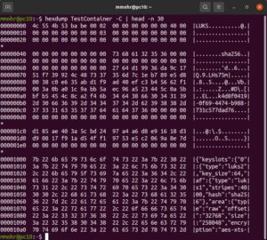 Abbildung 6: Der Datei-Header des Containers enth&auml;lt einige lesbare Metadaten. Ansonsten sehen Sie nur digitales Rauschen.