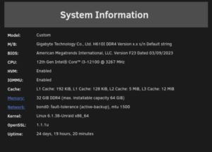Abbildung 1: Die Systeminformationen der Web-GUI von Unraid fassen wichtige Parameter der Hardware zusammen.
