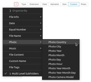 Abbildung 2: Um Ordnung in gro&szlig;e Dateimengen zu bringen, bietet Easy File Organizer detaillierte Sortierkriterien.