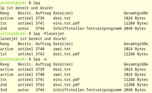 Abbildung 3: Ausf&uuml;hrung von <code>lpq</code>.