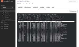 Abbildung 4: Nach dem Erstellen gen&uuml;gen wenige Klicks, um sich via Terminal am neuen System anzumelden.
