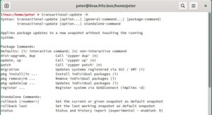 Abbildung 12: Wer Zypper zur Paketinstallation gewohnt ist, braucht es auf immutablen Systemen nur durch Transactional-update zu ersetzen und den Befehlen <code>install</code>, <code>remove</code> und <code>update</code> das Wort <code>pkg</code> voranzustellen.