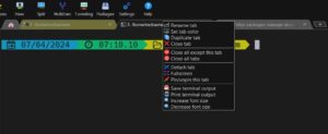 Abbildung 3: Die Tabs des Terminals lassen sich individuell konfigurieren, benennen und einfärben.