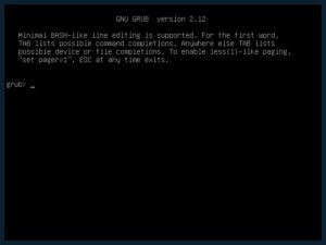 Abbildung 5: Wer sich mit der dahinterstehenden Technik auseinandersetzen möchte, kann mit der Grub-Rettungs-Shell den Kernel und die initiale RAM-Disk per Hand auswählen.