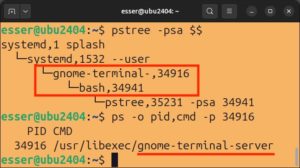 Abbildung 1: Mithilfe von Pstree und Ps sehen Sie, dass die Bash-Shell via <code>gnome-terminal-server</code> gestartet wurde.
