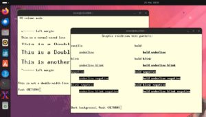 Abbildung 3: Doppelt hohe, doppelt breite Schrift – damit kommt nicht jedes Terminal klar.
