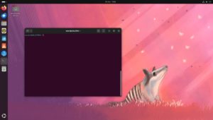 Abbildung 4: Der Hintergrund im Terminalfenster ist Ubuntu-typisch lilafarben.