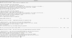 Abbildung 8: Wget liefert in der Terminalausgabe Informationen zum laufenden Auftrag.