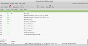 Abbildung 7: Auch Unison erlaubt den bidirektionalen Abgleich von Quell- und Zielordern.