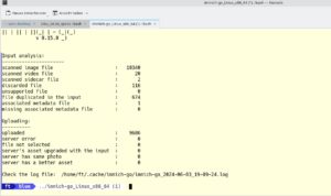 Abbildung 13: Ein Testlauf mit Immich-go zeigt, was das Skript tut, wenn es ohne den Parameter <code>dry_run</code> gestartet wird.