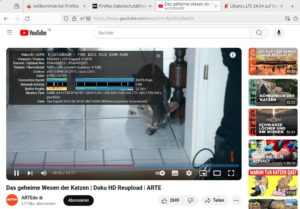 Abbildung 4: Wählen Sie eine hohe Auflösung, ruckeln Youtube-Videos in Firefox stark.