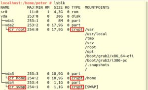 Abbildung 4: Lsblk zeigt, welche Festplattenpartitionen verschl&uuml;sselt sind und wie die virtuellen Festplattenger&auml;te unter <code>/dev/mapper</code> hei&szlig;en, die die unverschl&uuml;sselten Daten bereitstellen.