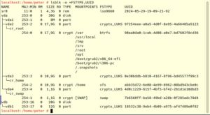 Abbildung 8: &Uuml;ber den Befehl <code>lsblk -o +FSTYPE,UUID</code> finden Sie die UUIDs der Dateisysteme heraus, die Sie f&uuml;r das h&auml;ndische Erstellen der <code>/etc/crypttab</code> brauchen.