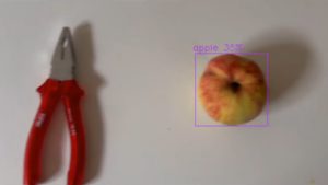 Abbildung 2: So sieht das Ergebnis der Object Detection am Ende aus.