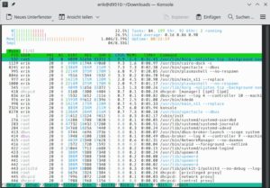 Abbildung 5: Bluestar Linux arbeitet erfreulich ressourcenschonend und eignet sich damit auch f&uuml;r &auml;ltere Rechner.