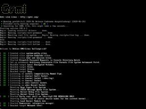 Abbildung 2: Grml ist ein echtes Rescue-Linux, das zwar eine GUI bietet, den Benutzer aber nicht zwingt, sie auch zu verwenden. Es l&auml;sst sich ebenso gut via Kommandozeile nutzen. Quelle: Grml / Michael Prokop