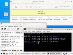 Abbildung 3: SystemRescue kommt mit einer grafischen Oberfl&auml;che in Form von XFCE daher. Die Distribution bietet allerlei praktische Rettungswerkzeuge wie Ddrescue. Quelle: SystemRescue