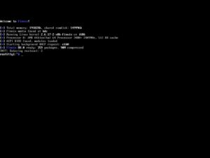 Abbildung 4: Anders als Grml und SystemRescue geht Finnix das Thema puristisch an und verzichtet komplett auf eine GUI. Der M&uuml;he Lohn: Schlanke 480&nbsp;MByte f&uuml;r das gesamte Betriebssystemabbild. Quelle: Finnix / Ryan Finnie