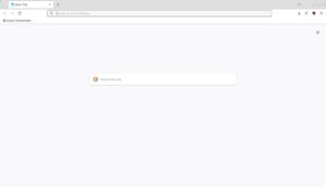 Abbildung 4: LibreWolf öffnet beim ersten Aufruf ein sehr schlichtes Fenster.