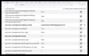Abbildung 7: Nur Firefox und darauf basierende Browser erlauben es, ein benutzerdefiniertes Monitorprofil zu nutzen.