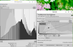 Abbildung 2: Das Histogramm zeigt Korrekturanpassungen anderer Werkzeuge (hier <span class="ui-element">Kurven</span>) live an und erleichtert damit die Entscheidung über den Sinn einer Korrektur.