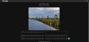 Abbildung 5: Nach dem Hochladen eines Bilds erzeugt Picsur verschiedene Links, mit denen Sie die Bilder teilen können. Zudem lassen sich die Dateien in verschiedene Formate konvertieren.