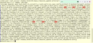 Abbildung 6: Allein die Zuordnung der Abh&auml;ngigkeiten des Programms Inkscape zu j&uuml;ngsten Aktualisierungen bedeutet viel Aufwand. Wer Erfahrung hat, pickt zuerst wahrscheinliche Kandidaten wie Pakete aus dem GTK-Umfeld heraus.