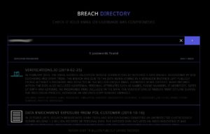 Abbildung 3: Das Suchergebnis zu einer E-Mail-Adresse in der Datenbank von BreachDirectory.