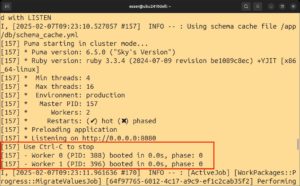 Abbildung 2: Sobald die Meldung <span class="ui-element">Use Ctrl-C to stop</span> erscheint, hat Docker den OpenProject-Start abgeschlossen.