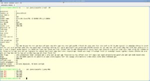 Abbildung 1: Das Auslesen von <code>/proc/cpuinfo/</code> liefert ausführliche Infos zu den im Rechner verbauten Prozessoren.