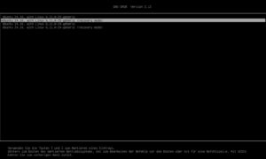 Abbildung 7: Um einen System-Snapshot einzuspielen, wird zunächst in den Wiederherstellungsmodus gebootet.