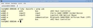 Abbildung 17: So sieht eine per Grep nach USB-Geräten gefilterte Ausgabe von <code>lshw -businfo</code> aus.