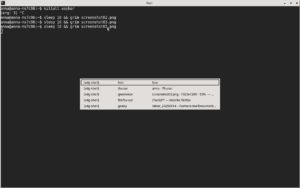 Abbildung 3: Beim Dr&uuml;cken von <span class="key-combo">[Alt]+[Tab]</span> erscheint in der Mitte des Bildschirms der Window Switcher, eine Art Fensterliste, mit deren Hilfe Sie zwischen den Fenstern wechseln.
