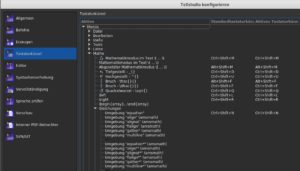 Abbildung 5: Das Konfigurationsmenü von TeXstudio für Tastenkürzel und Funktionstasten.