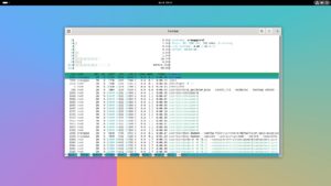 Abbildung 9: Das Ubuntu-Image für den RV2 belegt nach dem Start knapp 700 MByte im Hauptspeicher. Hier wäre ein sparsamerer Desktop wie XFCE sinnvoller, der nur rund 500 MByte belegt.