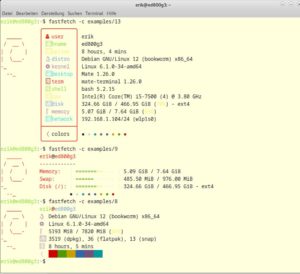 Abbildung 1: Fastfetch bringt verschiedene vordefinierte Profile zur Anzeige der Systeminformationen mit.