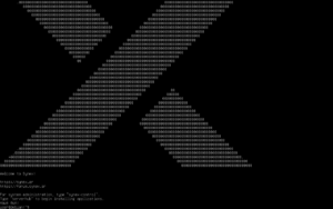 Startbildschirm des Synex Servers