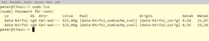 Abbildung 4: Die Ausgabe von Lvs zeigt nun, dass jedem der zwei logischen Volumes eine SSD-Partition als Cache zugeordnet ist.