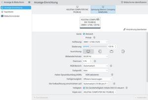 Abbildung 5: Der Samsung-Monitor rechts hängt nicht wirklich am Rechner: Die Boot-Optionen täuschen ihn dem System nur vor.