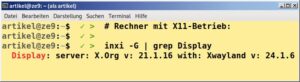 Abbildung 2: Hier verwendet die Gegenstelle X.Org als Displayserver-Protokoll.